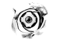 �ڂ𓮂����ؓ�