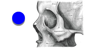 ���|����⏬�����T�C�Y�̕��̂��ڂɓ��������Ƃ�